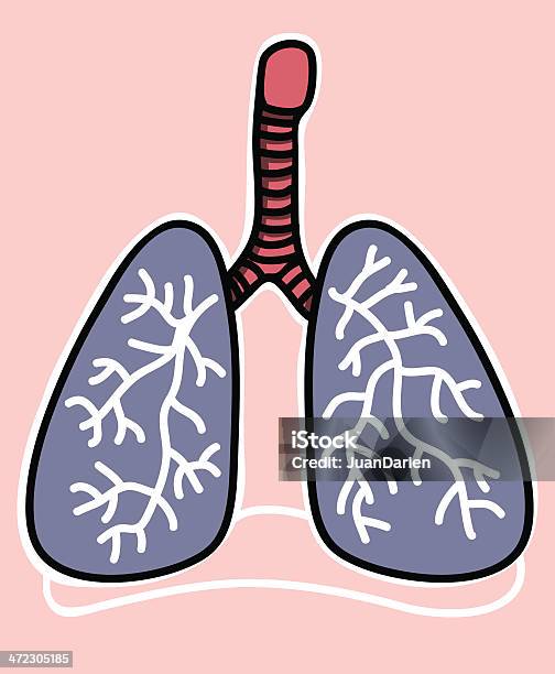 Icónico Humanos Pulmões - Arte vetorial de stock e mais imagens de Anatomia - Anatomia, Banda desenhada - Produto Artístico, Biologia