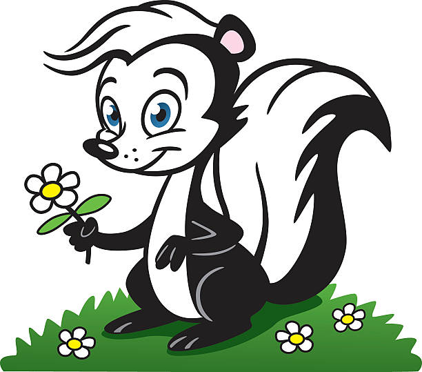 ładny stinky skunk - skunk stock illustrations