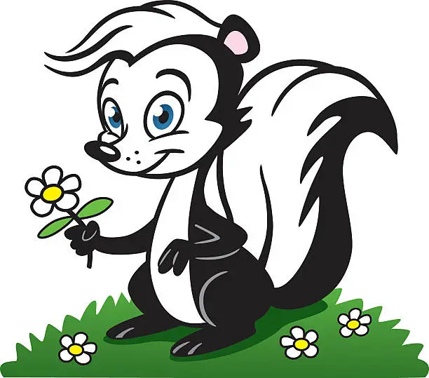 Vector illustration of Cute Stinky Skunk