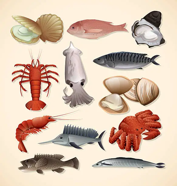 Vector illustration of Seafood and Fish