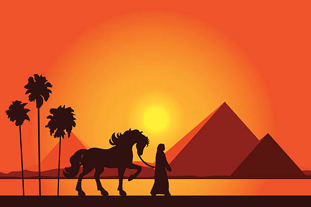 illustrazioni stock, clip art, cartoni animati e icone di tendenza di egitto grandi piramidi con i beduini e cavalli sul tramonto di sfondo - egypt cairo pyramid sunset