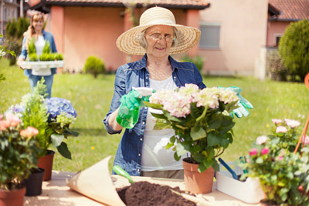 istock Senior women gardening 472307040