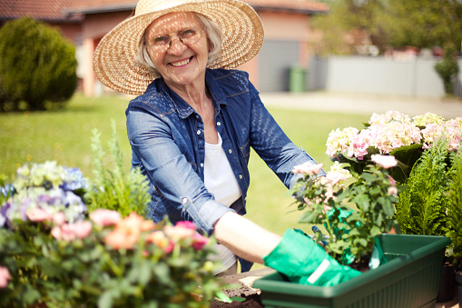 Senior women gardening