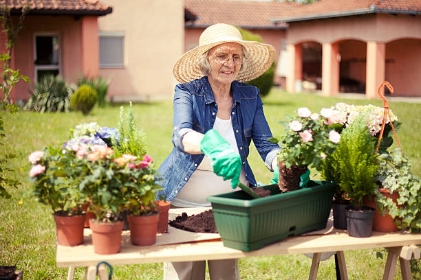 istock Senior women gardening 472307058