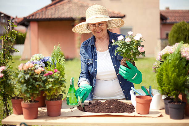 istock Senior women gardening 472307062