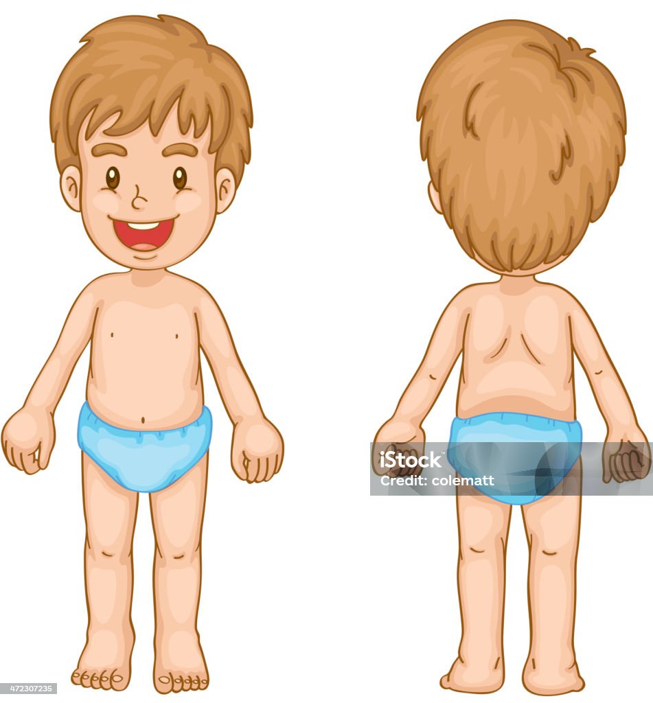 Boy body parts Young boy front and back 12-17 Months stock vector