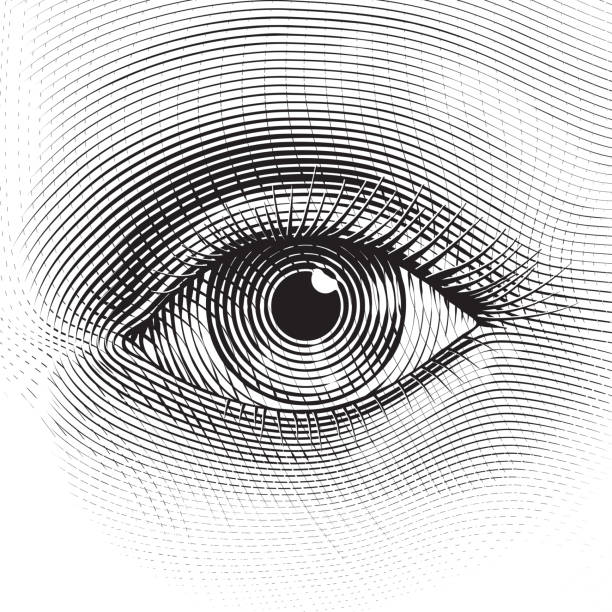 vektor-eye - engraved image illustrations stock-grafiken, -clipart, -cartoons und -symbole