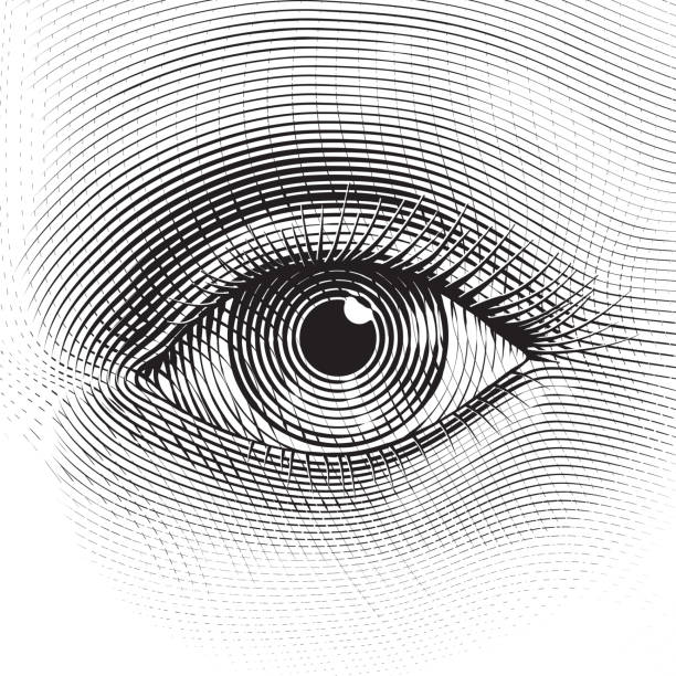 Vector eye Vector human eye in engraved style. close up illustrations stock illustrations