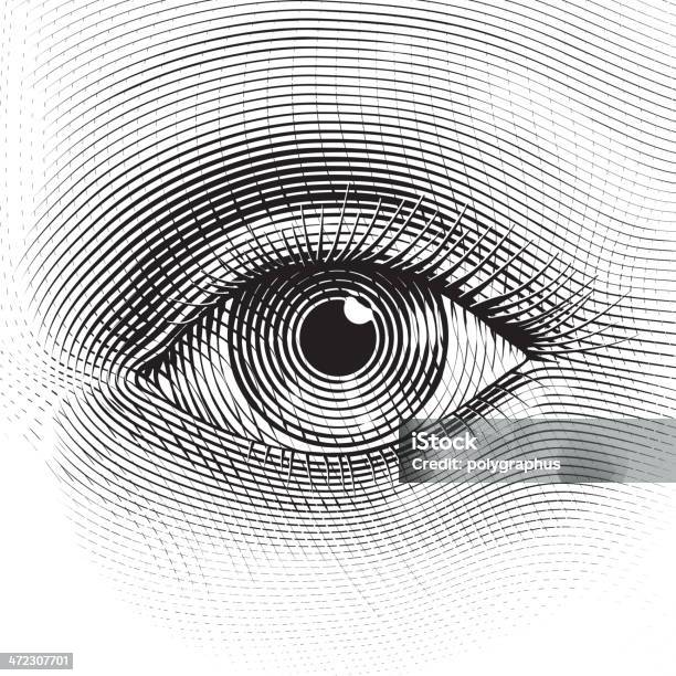 Vector Eye Stock Illustration - Download Image Now - Illustration, Engraved Image, Engraving