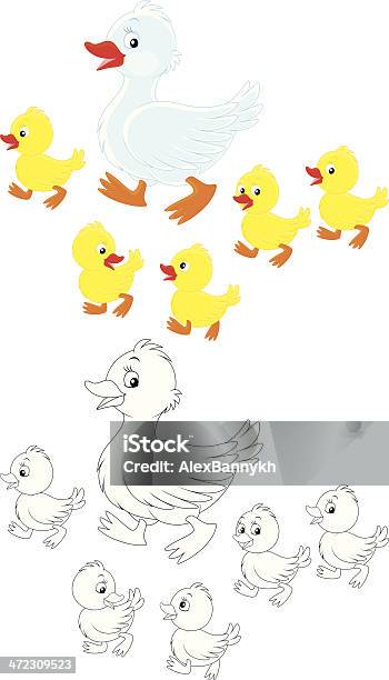 오리고기 Ducklings 오리-물새에 대한 스톡 벡터 아트 및 기타 이미지 - 오리-물새, 흑백, 가금류