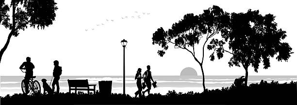 parkatsunset - focus on shadow women bicycle outdoors stock-grafiken, -clipart, -cartoons und -symbole