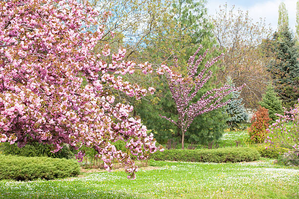 istock Park full of flowers 472310356