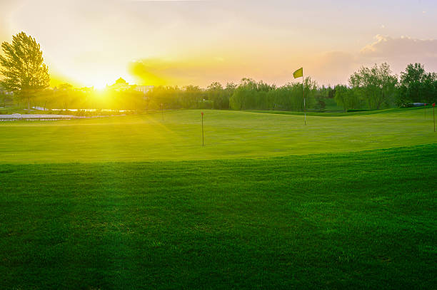 sunset golf golfplatz - golf landscape golf course tree stock-fotos und bilder