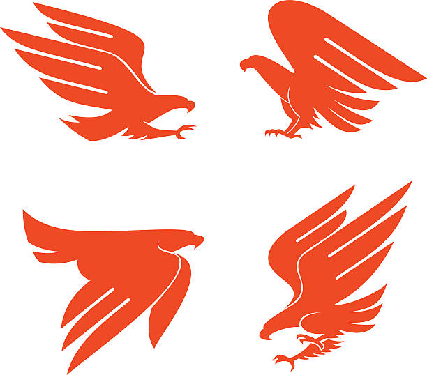 ilustraciones, imágenes clip art, dibujos animados e iconos de stock de eagles - eagles