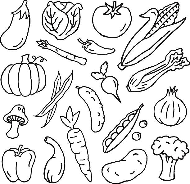 gemüse und kritzeleien - salad vegetable pumpkin broccoli stock-grafiken, -clipart, -cartoons und -symbole