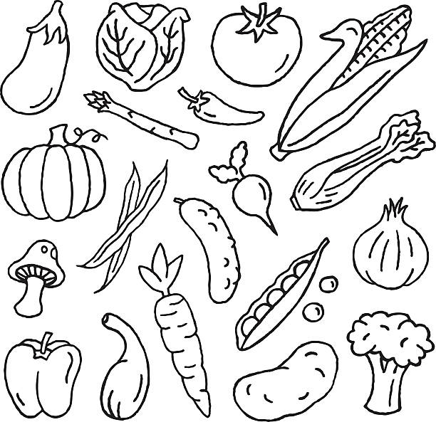 doodles warzyw - vegetable asparagus cauliflower legume stock illustrations
