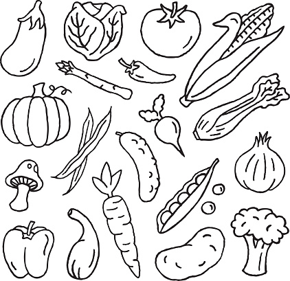 A variety of vegetable doodles.