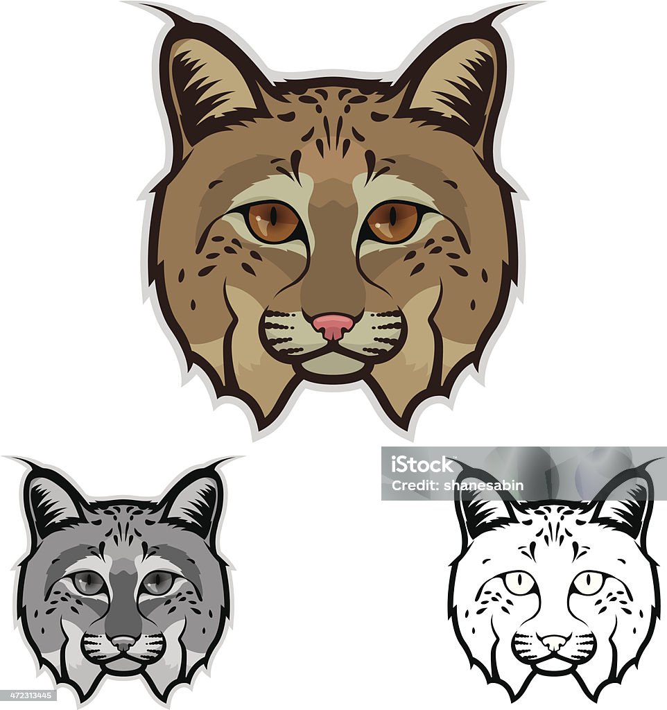 Bobcat twarz - Grafika wektorowa royalty-free (Ryś rudy)