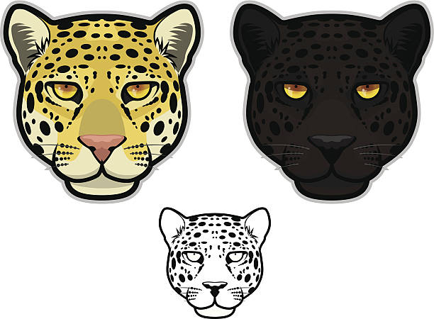 Jaguar or Leopard Face vector art illustration