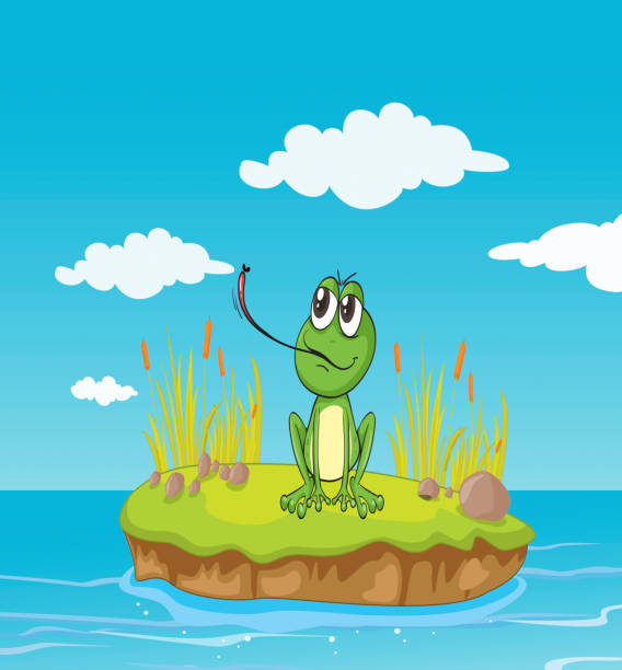 лягушка и вода - frog animal tongue animal eating stock illustrations
