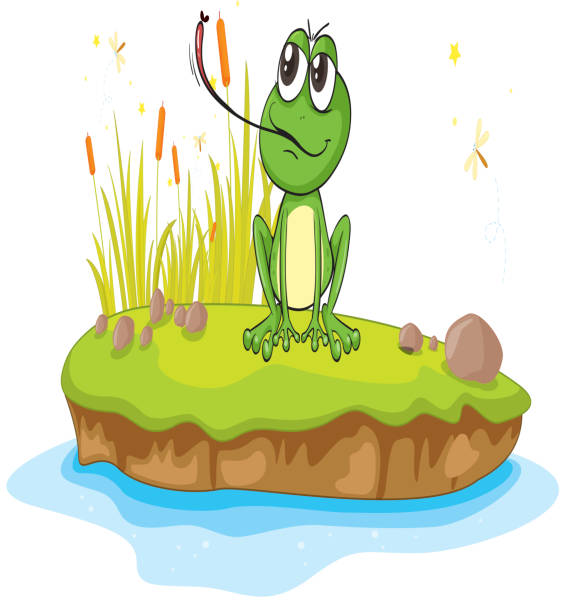 лягушка и вода - frog animal tongue animal eating stock illustrations