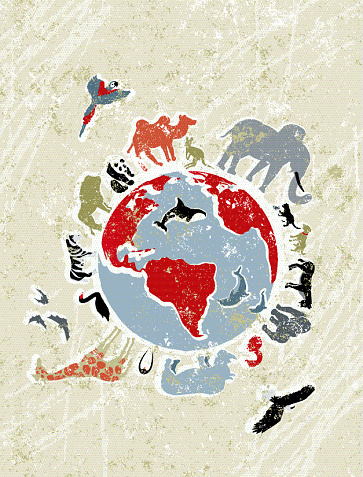 A stylized vector cartoon of various animals( lion, elephant, camel, kangaroo, eagle, parrot, snake, dolphin, gorilla and panda))surrounding the earth, reminiscent of an old screen print poster and suggesting animals, biology, zoology, conservation, environment or earth day.  Animals, globe, whale, dolphins, paper texture and background are on different layers for easy editing. Please note: clipping paths have been used,  an eps version is included without the path.