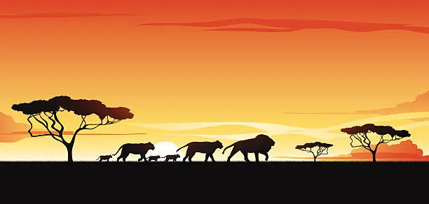 Vector illustration of African savannah