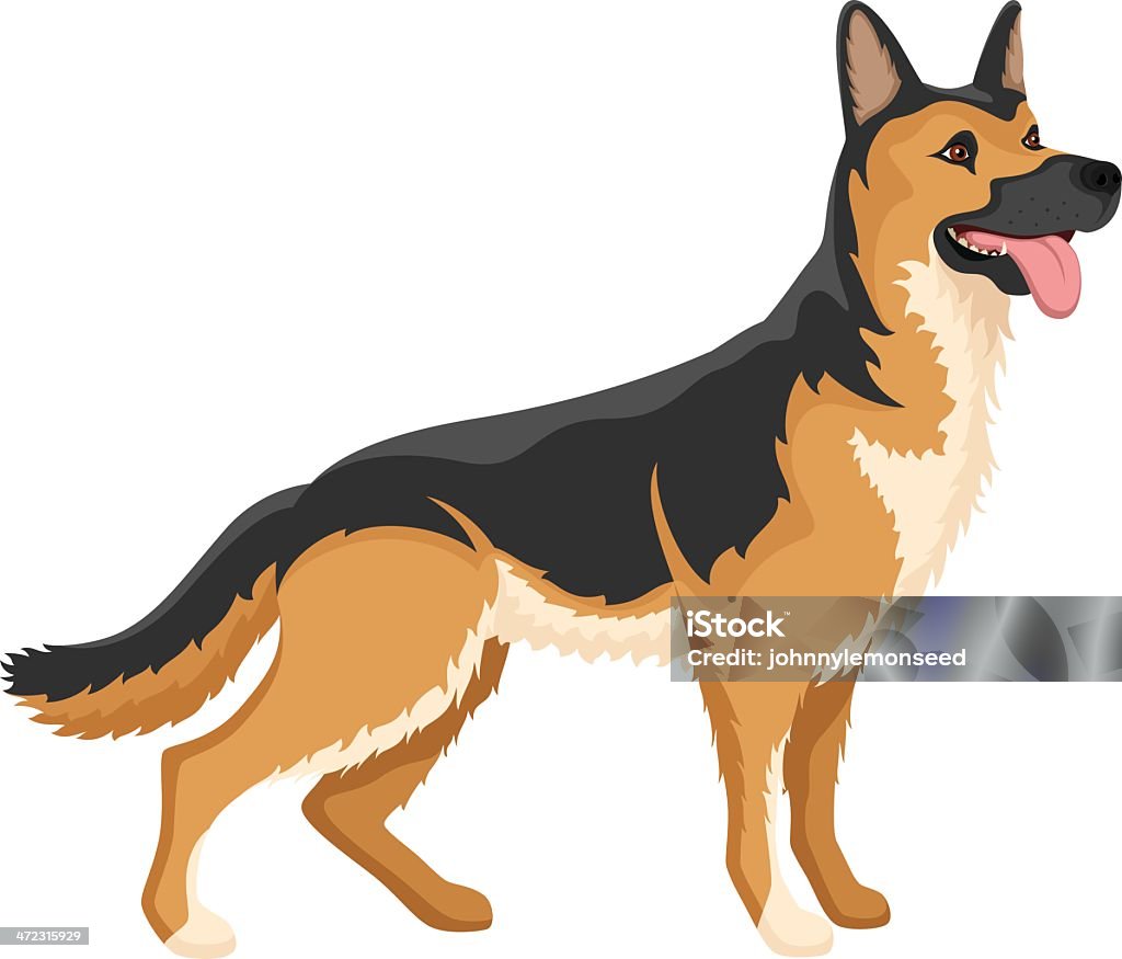 German Shepherd Vector illustration of a happy, panting German Shepherd dog. Illustration uses no gradients, meshes or blends, only solid color.  Both .ai and AI8-compatible .eps formats are included, along with a high-res .jpg, and a high-res .png with transparent background. German Shepherd stock vector