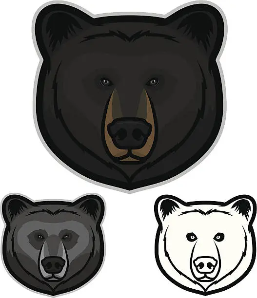 Vector illustration of Black Bear Face