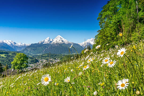 istock Idyllic summer landscape in the Alps 472316408