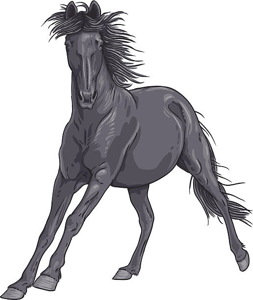 Isolated black galloping horse illustration vector art illustration