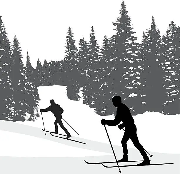 Vector illustration of CC skiing