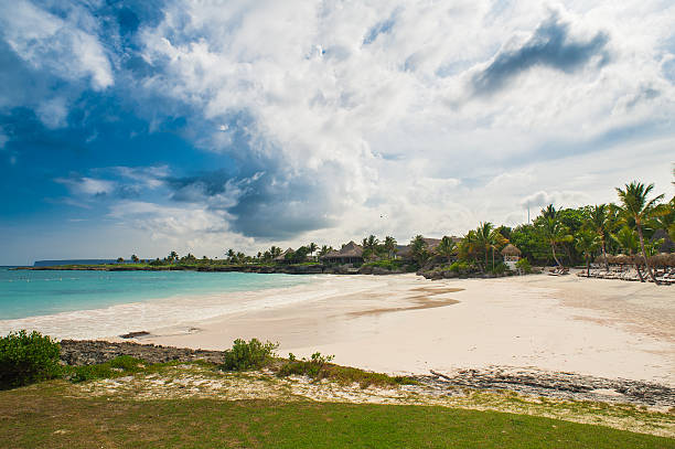 istock Palm trees on the Wild tropical caribbean sand beach in 472318136