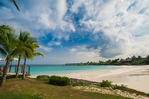 istock Palm trees on the Wild tropical caribbean sand beach in 472318142