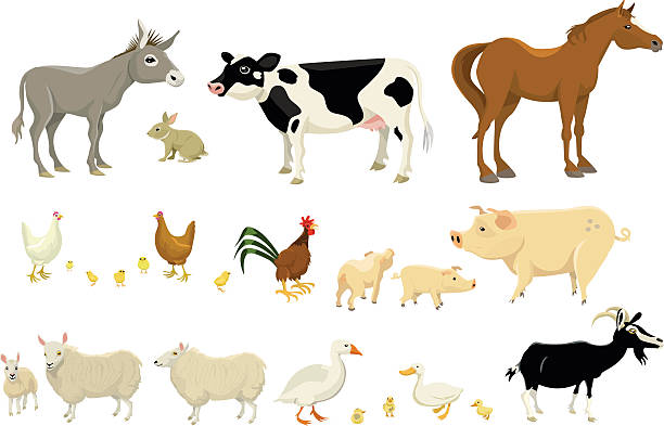 Big Farm Animal Page A page with multiple farm animals, including donkey, rabbit, cow, horse and more! cow clipart stock illustrations