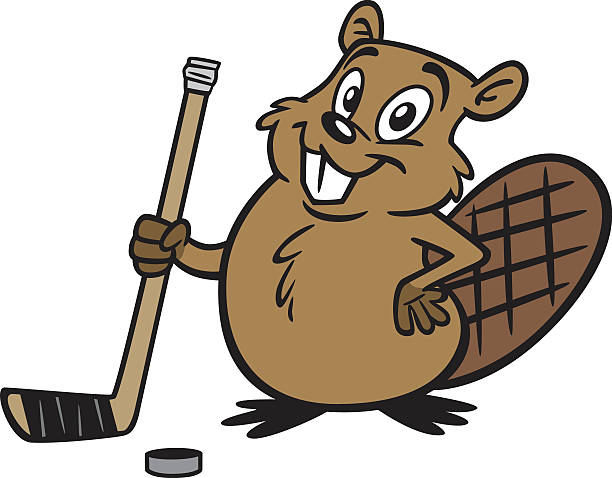577 Cartoon Of Hockey Stick Illustrations & Clip Art - iStock