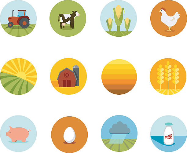 illustrations, cliparts, dessins animés et icônes de icônes de cercle agricole - champ illustrations