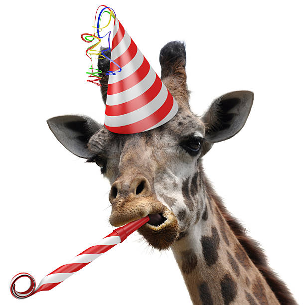 jirafa divertida fiesta animal soplando un follonero - birthday favors fotografías e imágenes de stock