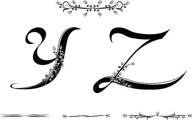 Vector illustration of Letters Y and Z