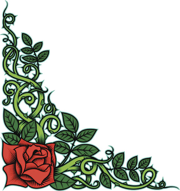 Rose and Thorns Color vector art illustration