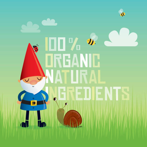 Organic gnome vector art illustration