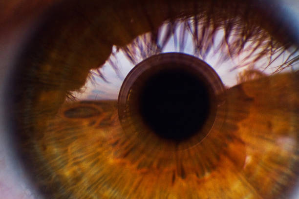 istock Human brown eye. Extreme close-up, macro. 472324154