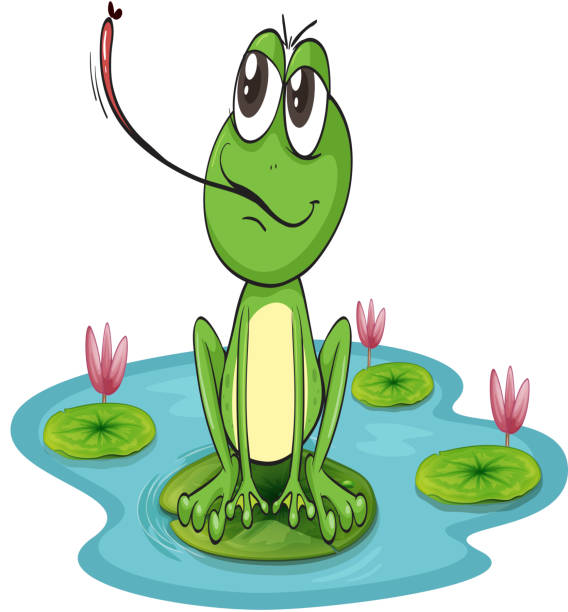 illustrazioni stock, clip art, cartoni animati e icone di tendenza di rana - frog catching fly water