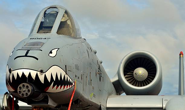 An A-10 Warthog/Thunderbolt II Panama City, USA - April 11, 2015: An Air Force A-10 Warthog/Thunderbolt II fighter jet parked on the flight line at Tyndall Air Force Base in April 2015. The A-10 is armed with a GAU-8 Avenger cannon gun. a10 warthog stock pictures, royalty-free photos & images