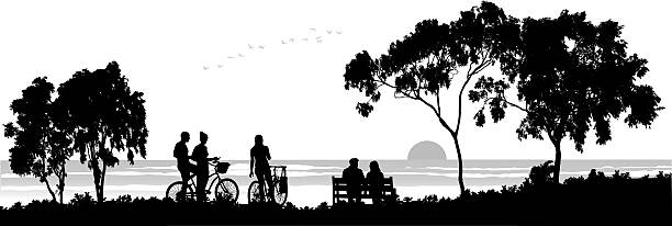 sunsetpark - focus on shadow women bicycle outdoors stock-grafiken, -clipart, -cartoons und -symbole