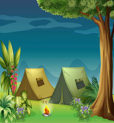 Tents in the jungle