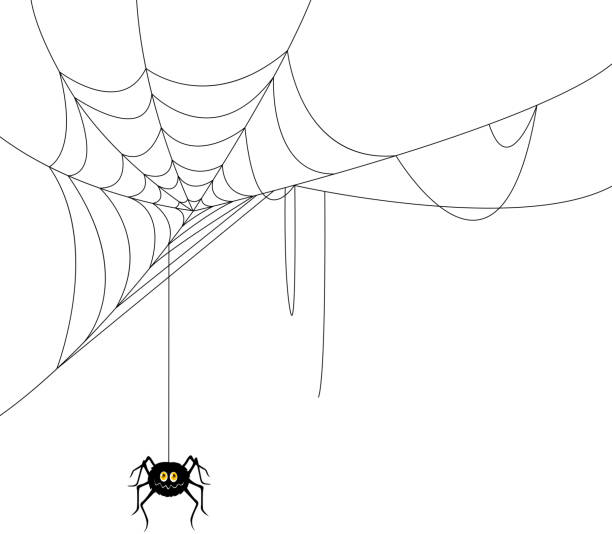 Cartoon Spider Web Stock Photos, Pictures & Royalty-Free Images - iStock