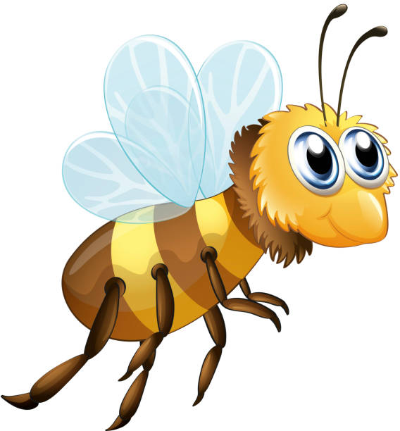 Sixlegged Insect Stock Illustration - Download Image Now - Animal, Animal Body Part, Bee - iStock Sixlegged Insect Stock Illustration - Download Image Now - Animal, Animal Body Part, Bee - iStock