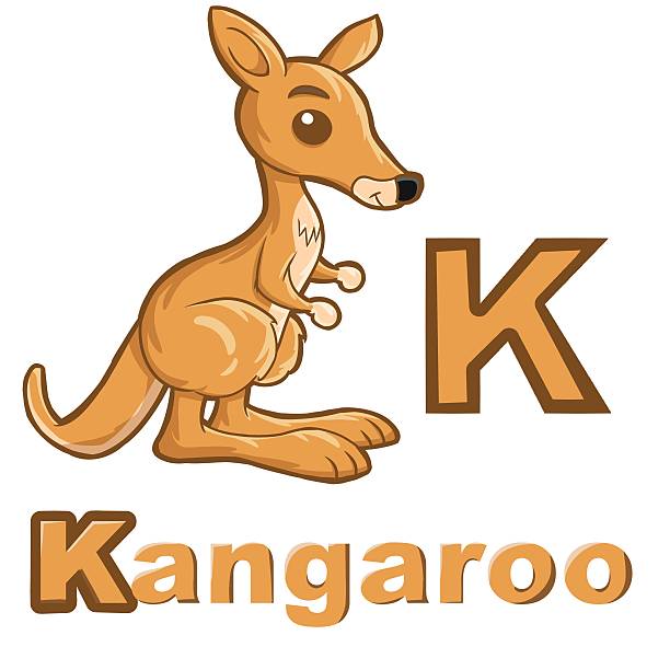 illustrations, cliparts, dessins animés et icônes de alphabet de kangourou - kangaroo cute facial mask mammal