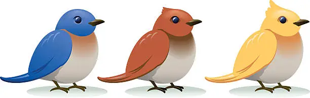 Vector illustration of Birds